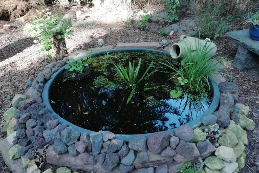 Vrijstaande stacaravan met riante tuin aan bosrand Vledder Buitenkant foto